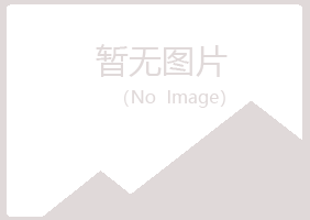 青岛崂山狼狈会计有限公司